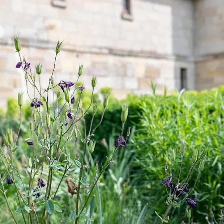 Maison d'hôtes La Maison