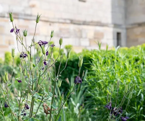 Pensión Domaine De La Maison